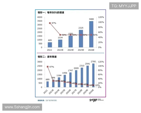 2025年白菜最新价格走势分析与预测 2025年白菜最新价格走势分析与预测